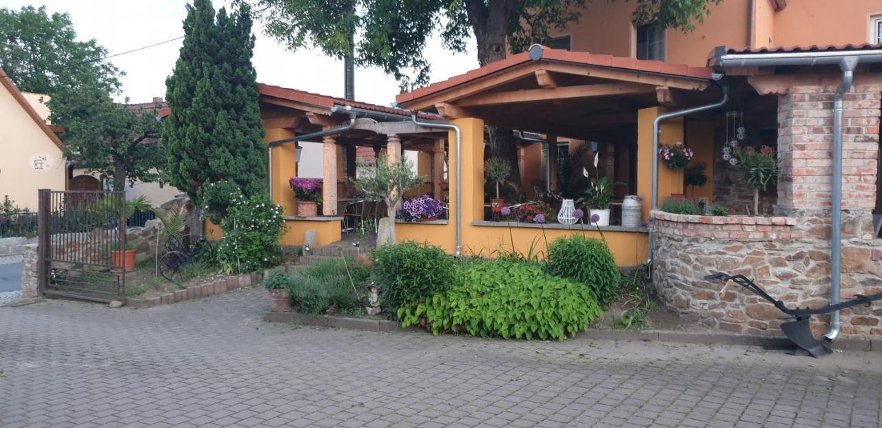 Hotel Und Pension Al Dente Nunchritz Экстерьер фото